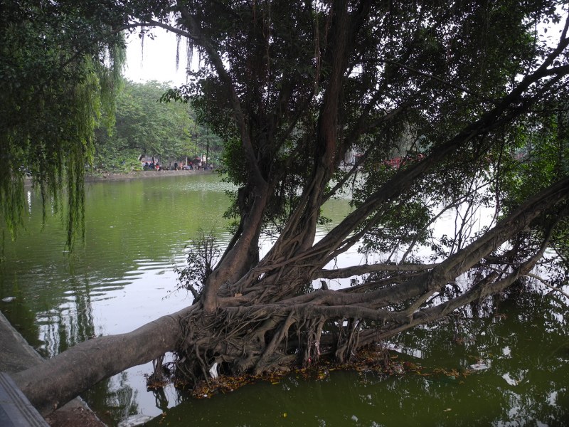 Hanoi