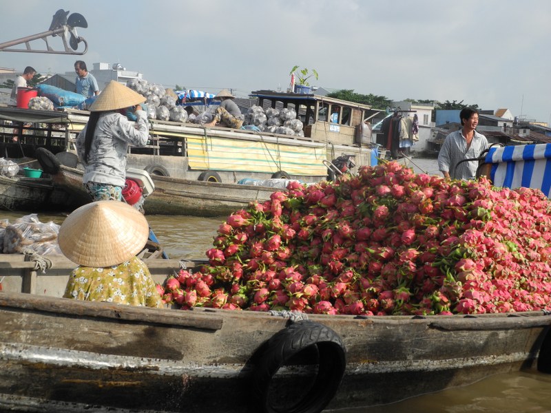 MEKONGDELTA